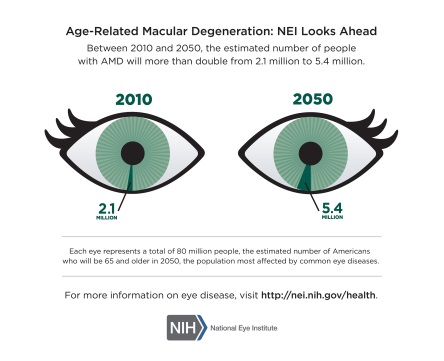 Age-Related Macular Degeneration 